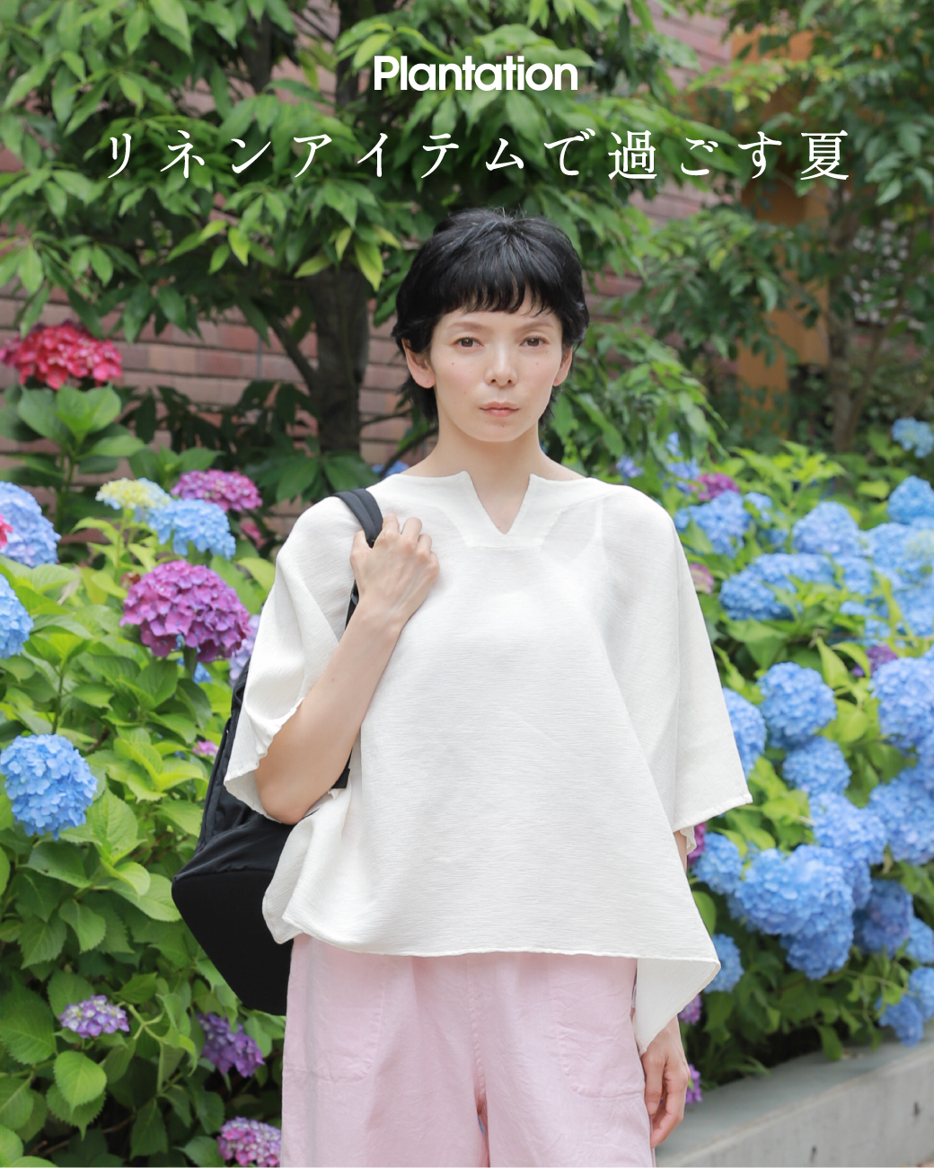 Plantation プランテーション(2ページ)| A-net ONLINE STORE