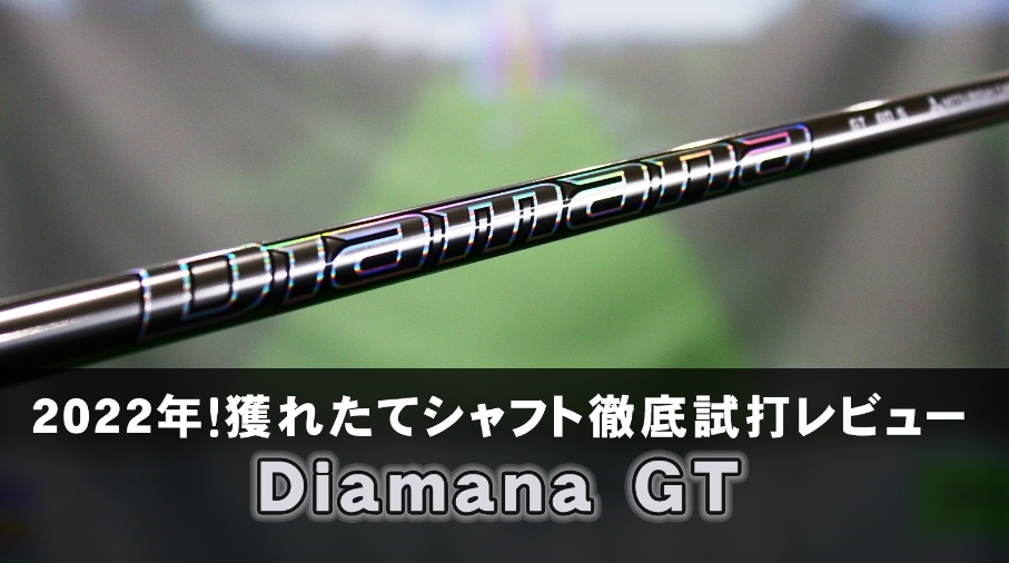 【新品未使用】Diamana GT 80S テーラーメイド 45.25インチ