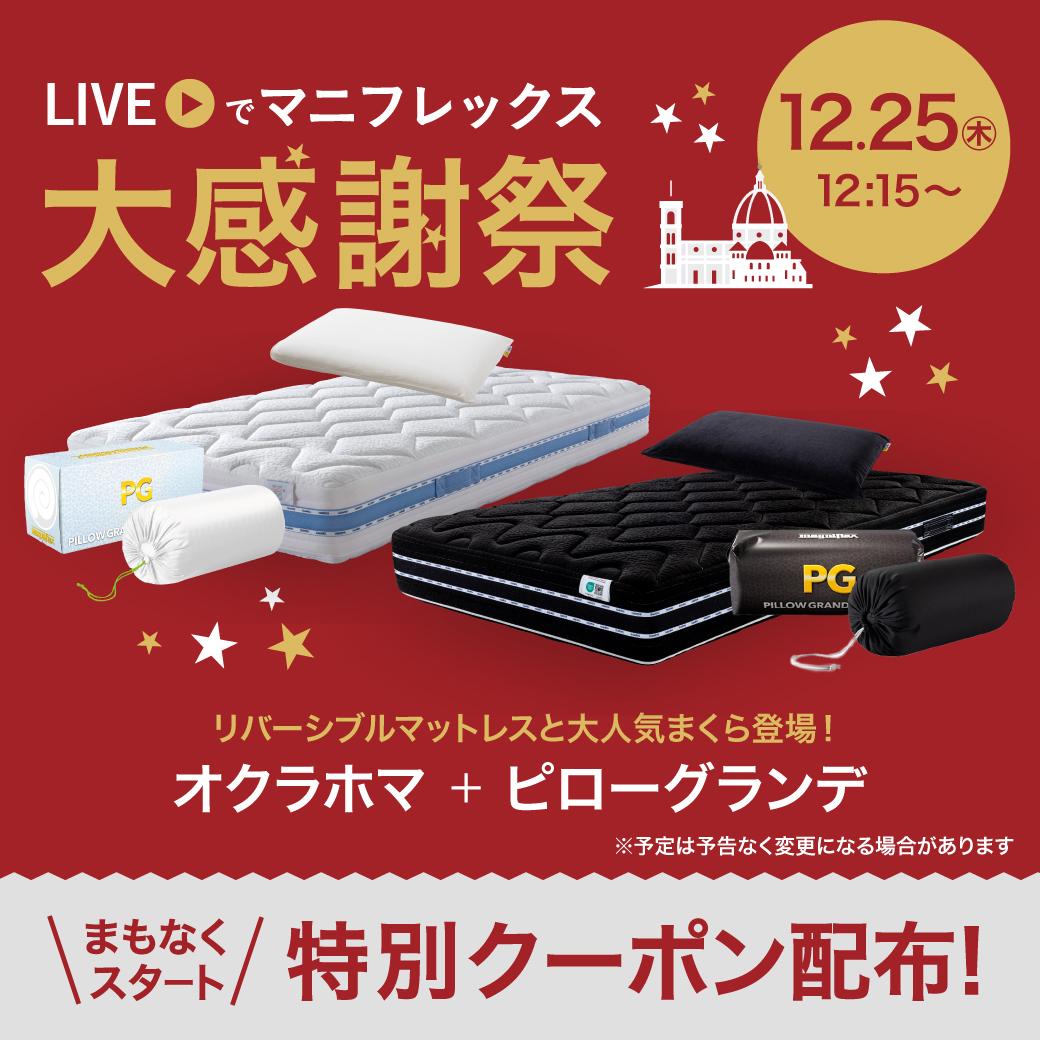 R♪引取可！美品！マニフレックス セミダブル マットレス DDウイング♪ DDウィング - マニフレックス公式オンラインストア