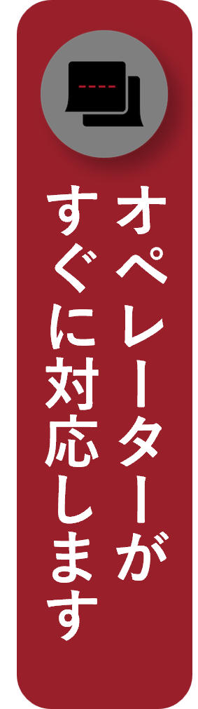 PACK COMP（パックコンプ（13インチPC対応））（BRA233P52